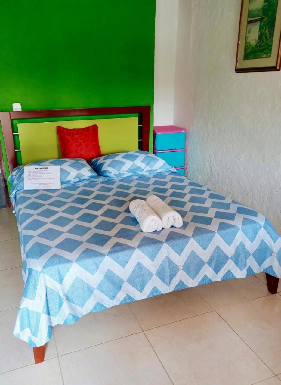 Hostal Bamboo Salento Exterior foto